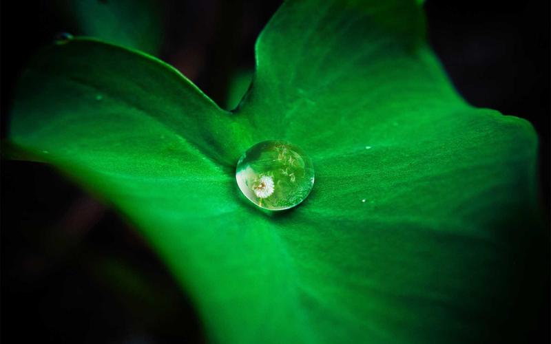 方林装饰数字化施工实测：掌赋系统到底好用吗？